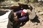 photo thumbnail #11