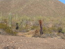 photo thumbnail #1