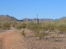 photo thumbnail #2