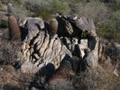 photo thumbnail #4