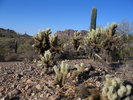 photo thumbnail #5