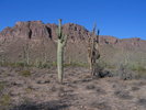 photo thumbnail #7