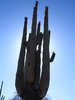 photo thumbnail #10
