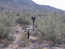 photo thumbnail #12