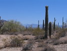 photo thumbnail #13