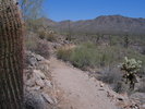 photo thumbnail #14