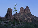 photo thumbnail #2
