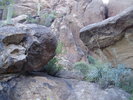 photo thumbnail #6