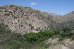photo thumbnail #3