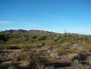 photo thumbnail #2