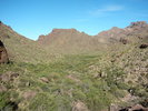 photo thumbnail #15