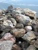 photo thumbnail #15