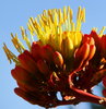 photo thumbnail #2