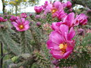 photo thumbnail #4