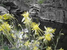 photo thumbnail #8