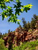 photo thumbnail #11