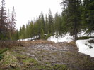 photo thumbnail #4