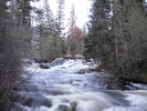 photo thumbnail #7