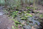 photo thumbnail #11