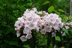 photo thumbnail #15