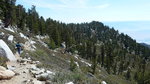 photo thumbnail #12
