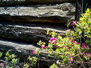 photo thumbnail #2