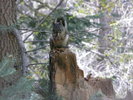 photo thumbnail #5