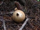 photo thumbnail #10