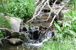 photo thumbnail #13