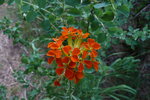 photo thumbnail #14