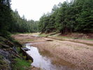 photo thumbnail #13