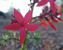 photo thumbnail #9