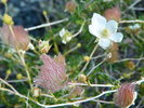 Featured Detail Photo