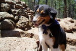 photo thumbnail #9
