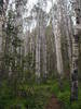 photo thumbnail #2