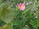photo thumbnail #8