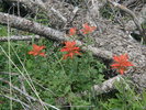 photo thumbnail #10