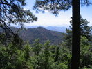 photo thumbnail #7