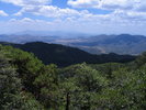 photo thumbnail #11
