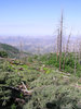 photo thumbnail #9