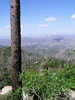 photo thumbnail #13