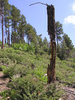 photo thumbnail #14