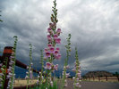 photo thumbnail #12