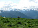 photo thumbnail #2