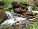 photo thumbnail #5