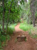 photo thumbnail #11