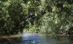 photo thumbnail #8