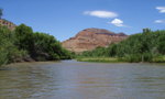 photo thumbnail #13