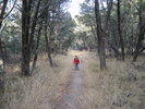 photo thumbnail #2