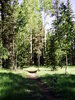 photo thumbnail #2